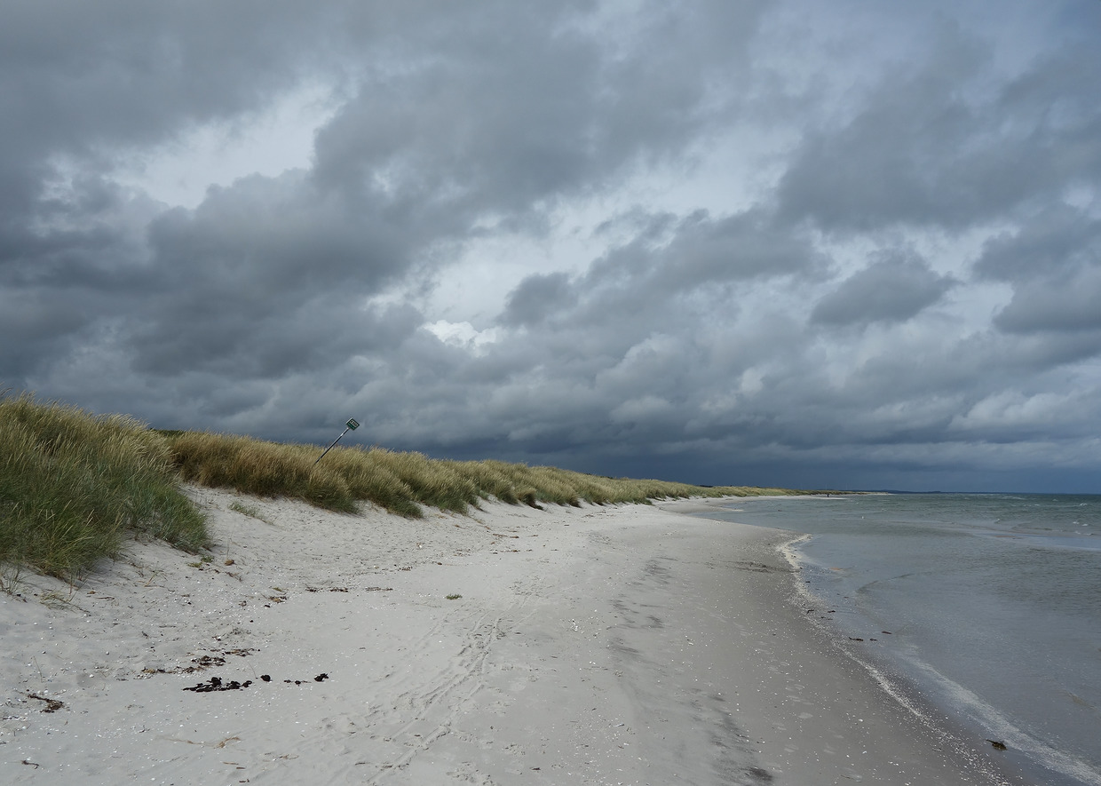 Efteraar